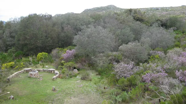 A grassy clearing sits among gray-green shrubs and purple flowers.