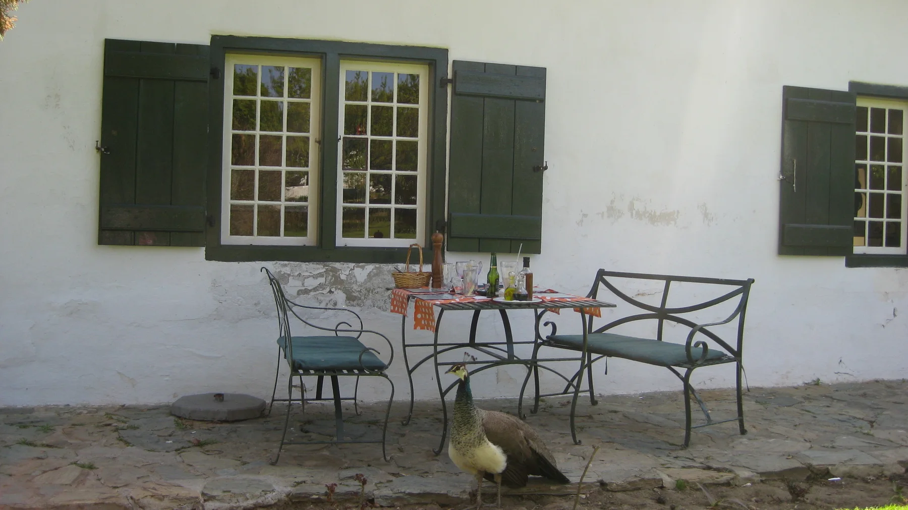 Metal chairs and a small table stand below green shutters, with a bird nearby.