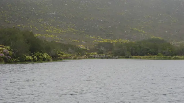 Gray rippling water meets shrubs below a misty mountain slope.