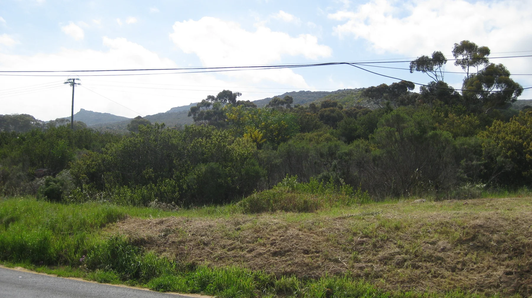 Overhead wires cross a roadside view of shrubs and distant hills.