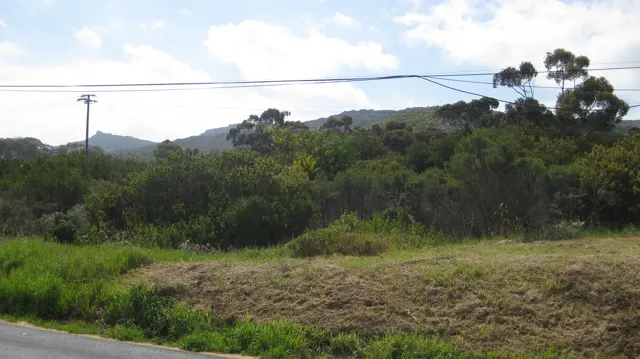 Overhead wires cross a roadside view of shrubs and distant hills.