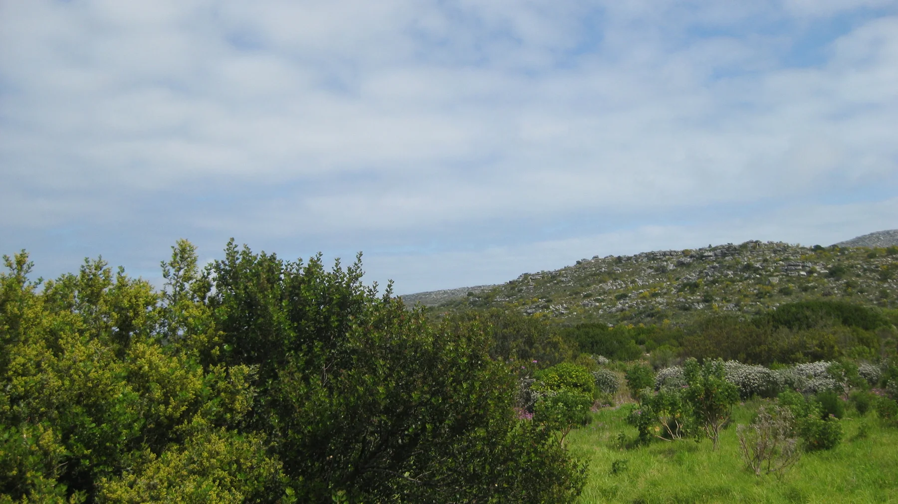Dense green shrubs fill the foreground beneath a low rocky ridge.