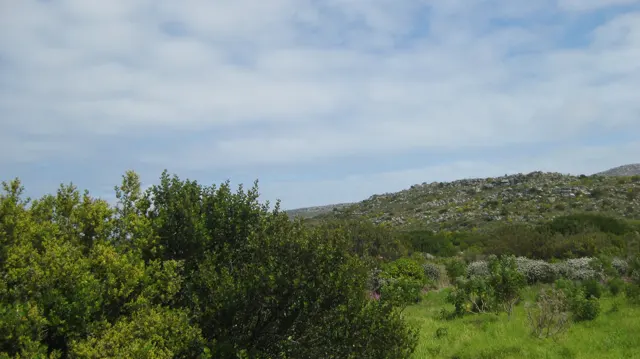 Dense green shrubs fill the foreground beneath a low rocky ridge.