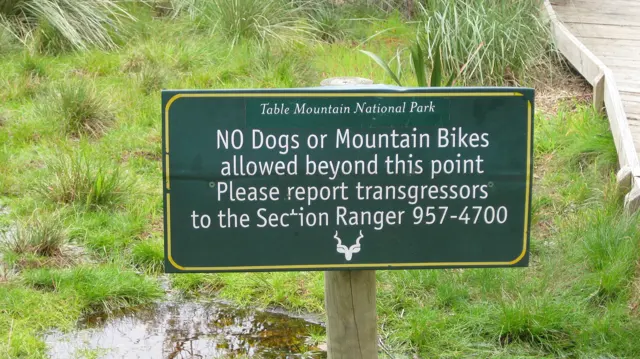 A green trail sign lists restrictions on dogs and mountain bikes beside a boardwalk.