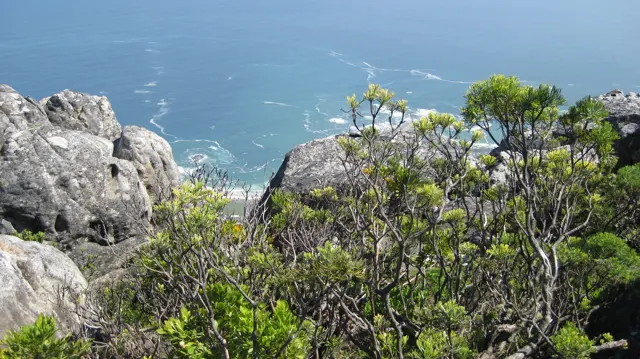 Summit rocks and shrubs frame blue ocean far below.