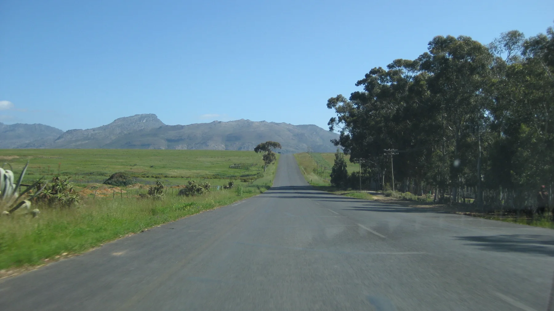 A road passes open green fields and roadside trees toward low hills.