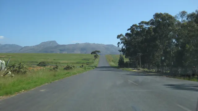 A road passes open green fields and roadside trees toward low hills.