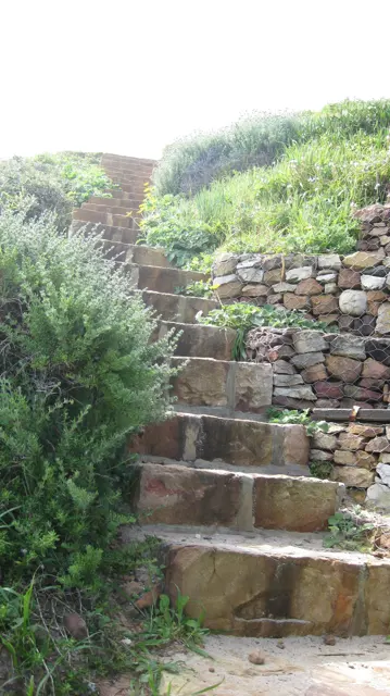 Stone steps climb between a retaining wall and dense green plants.