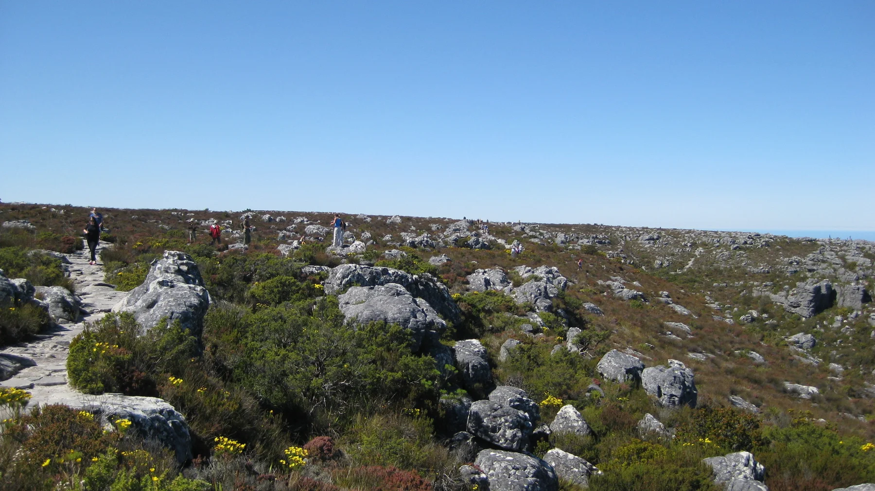 Pale rocks and low plants cover a broad summit plateau.