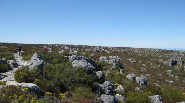 Pale rocks and low plants cover a broad summit plateau.