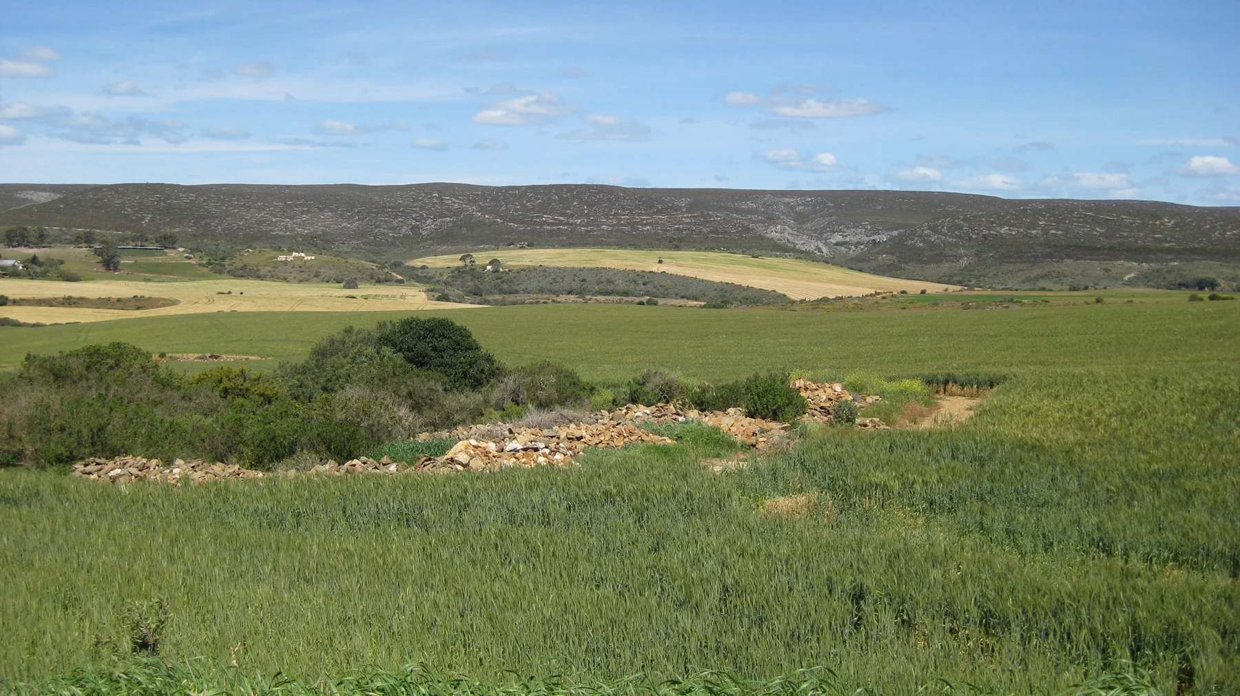 Green and golden fields form broad patches below a low ridge.