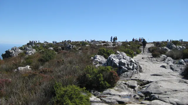 Visitors follow a pale rocky path across low summit vegetation.