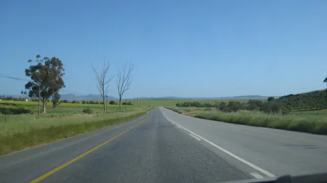 An empty paved road runs between fields beneath blue sky.