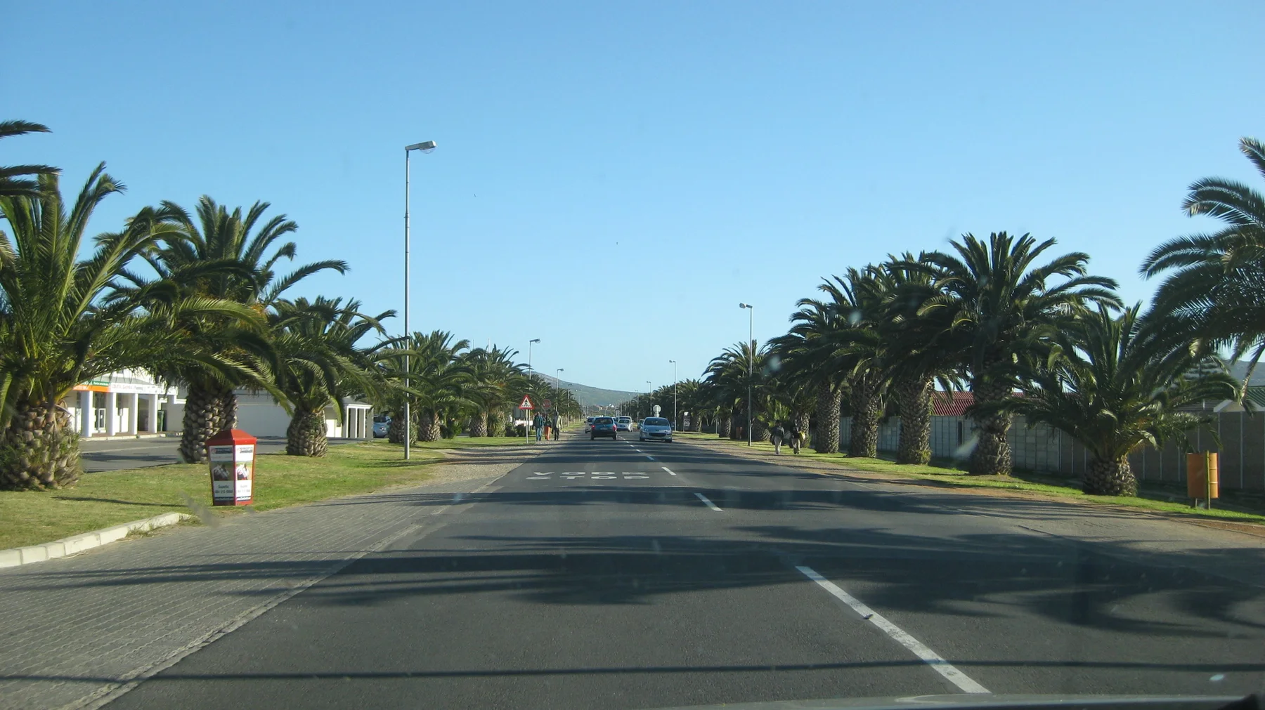 Rows of palms flank a wide sunny avenue.