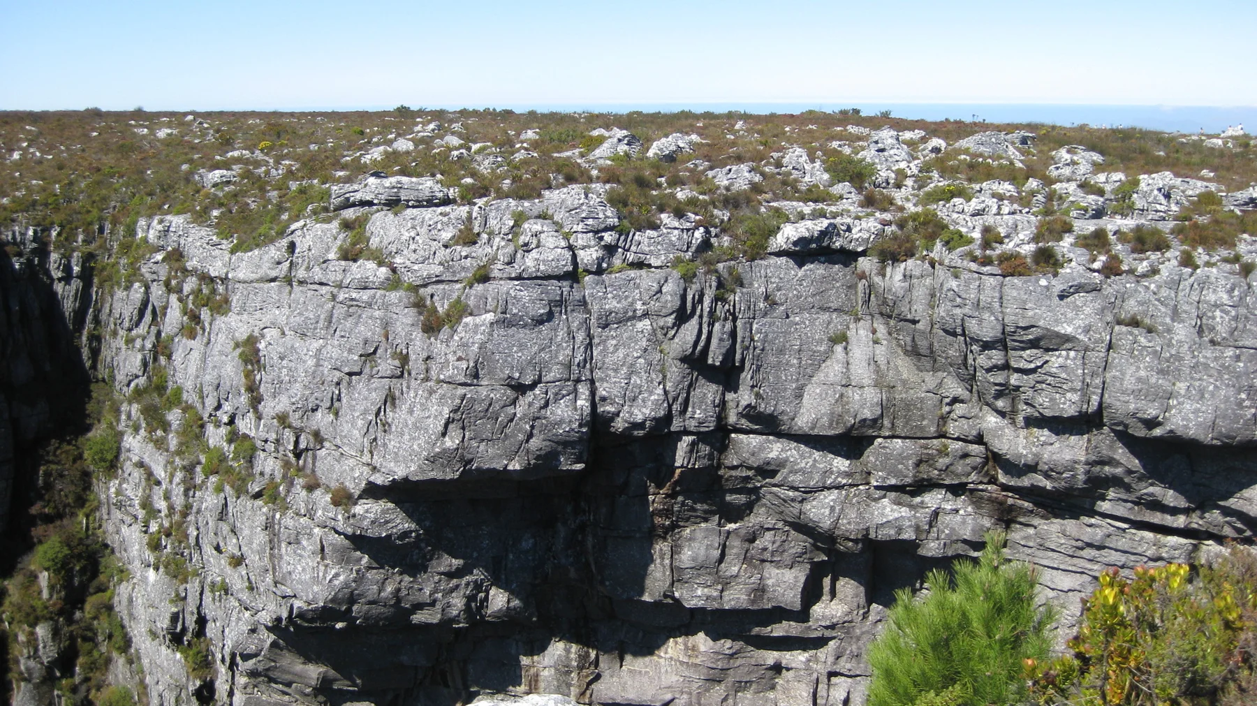 A dark crevice opens in a pale layered rock wall.
