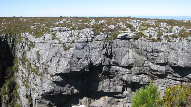 A dark crevice opens in a pale layered rock wall.