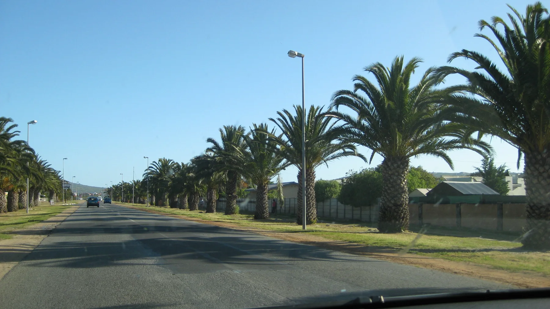 Palms cast shadows across a straight road beneath blue sky.