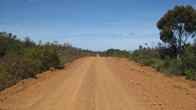 A reddish dirt road runs between shrubs and scattered trees.