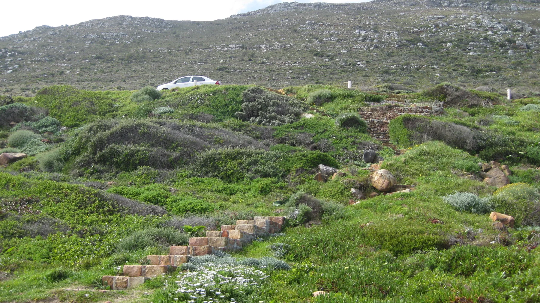 Small stone steps cross a green slope below a parked car.