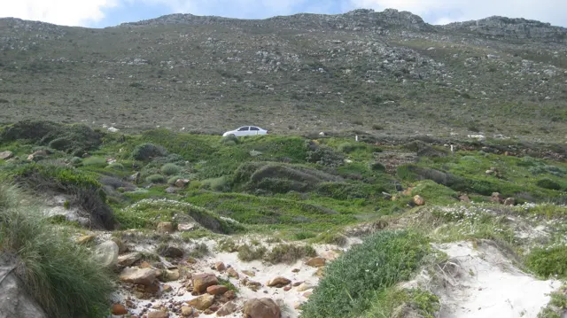 Low flowers and exposed stones cover a hillside beneath a roadside car.