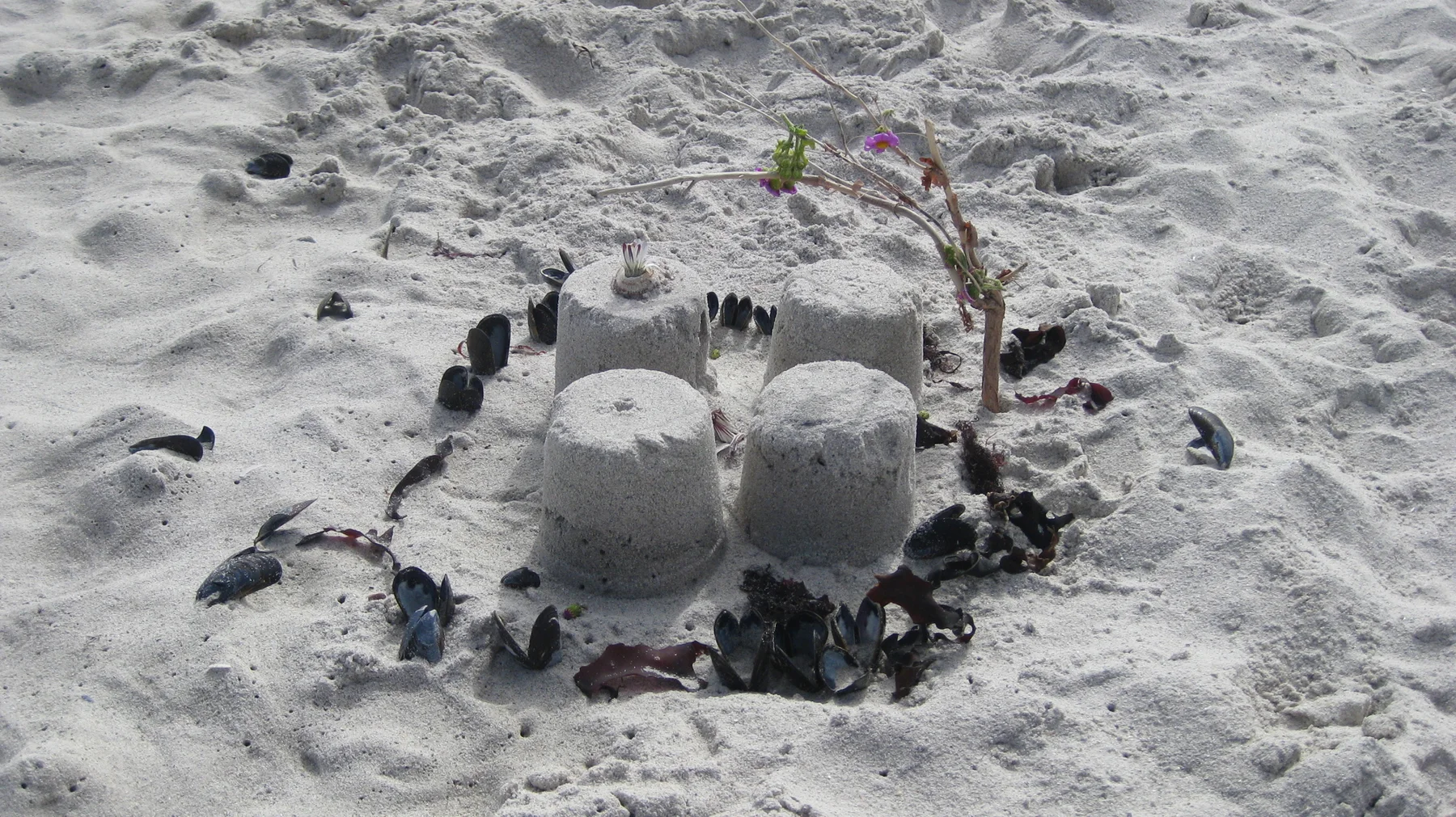 Small rounded sand towers stand inside a ring of dark beach debris.