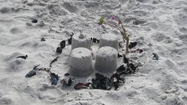 Small rounded sand towers stand inside a ring of dark beach debris.