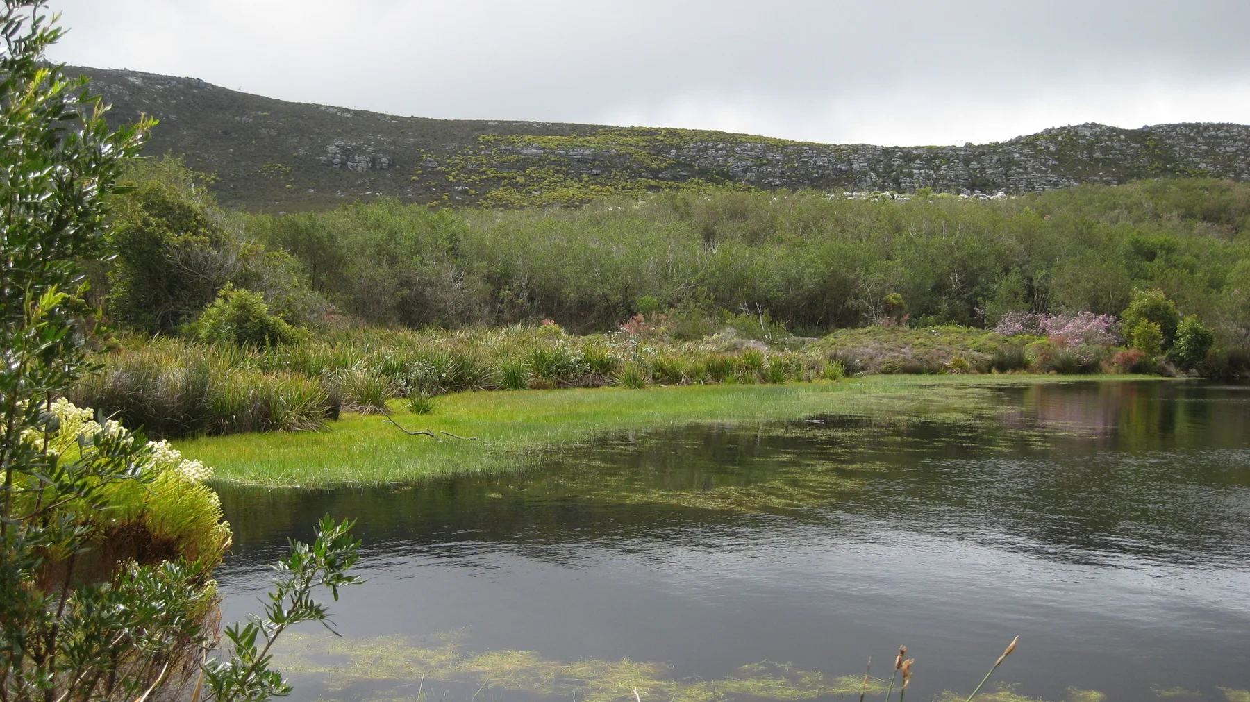 Still water borders green grass and low shrubs below hills.