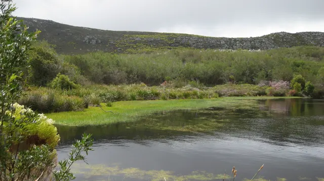 Still water borders green grass and low shrubs below hills.