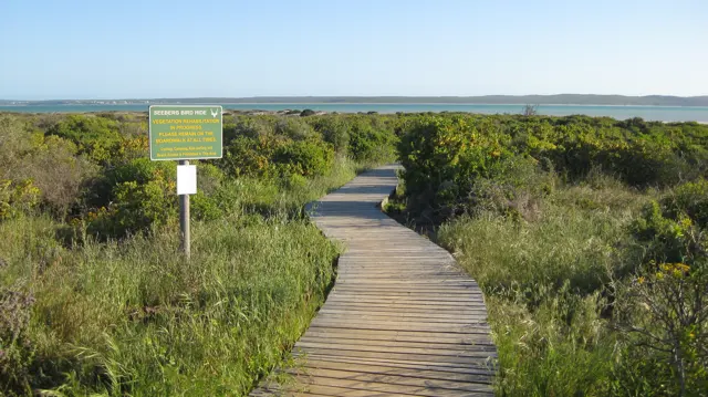 A wooden boardwalk runs through low scrub toward distant water.