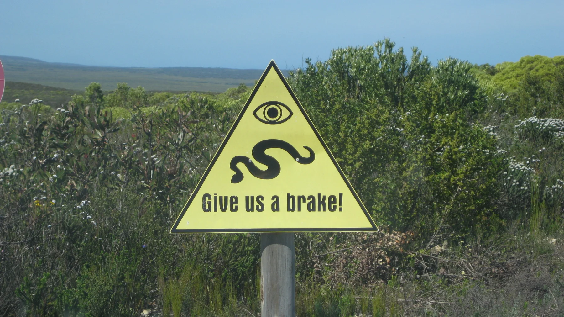 A triangular roadside sign shows a snake and asks drivers to brake.