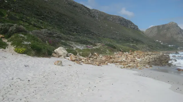 A pale beach meets scattered boulders below a green mountain slope.