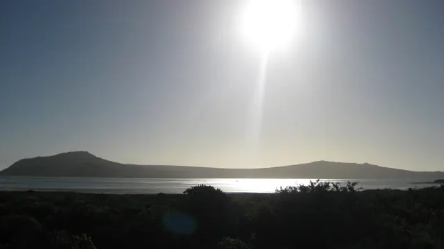 A bright sun casts a silver reflection across water beyond dark shrubs.