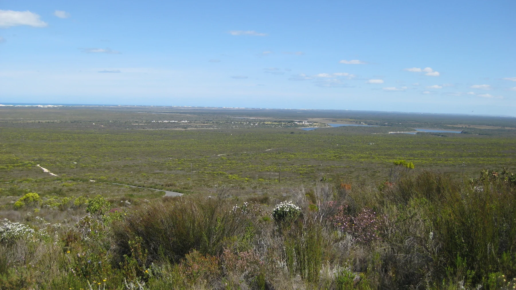 Low green vegetation stretches across a coastal plain beneath blue sky.
