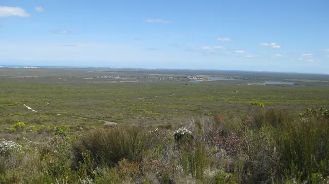 Low green vegetation stretches across a coastal plain beneath blue sky.
