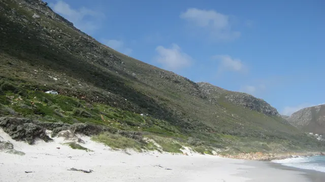 Pale sand borders a steep green mountainside and scattered rocks.
