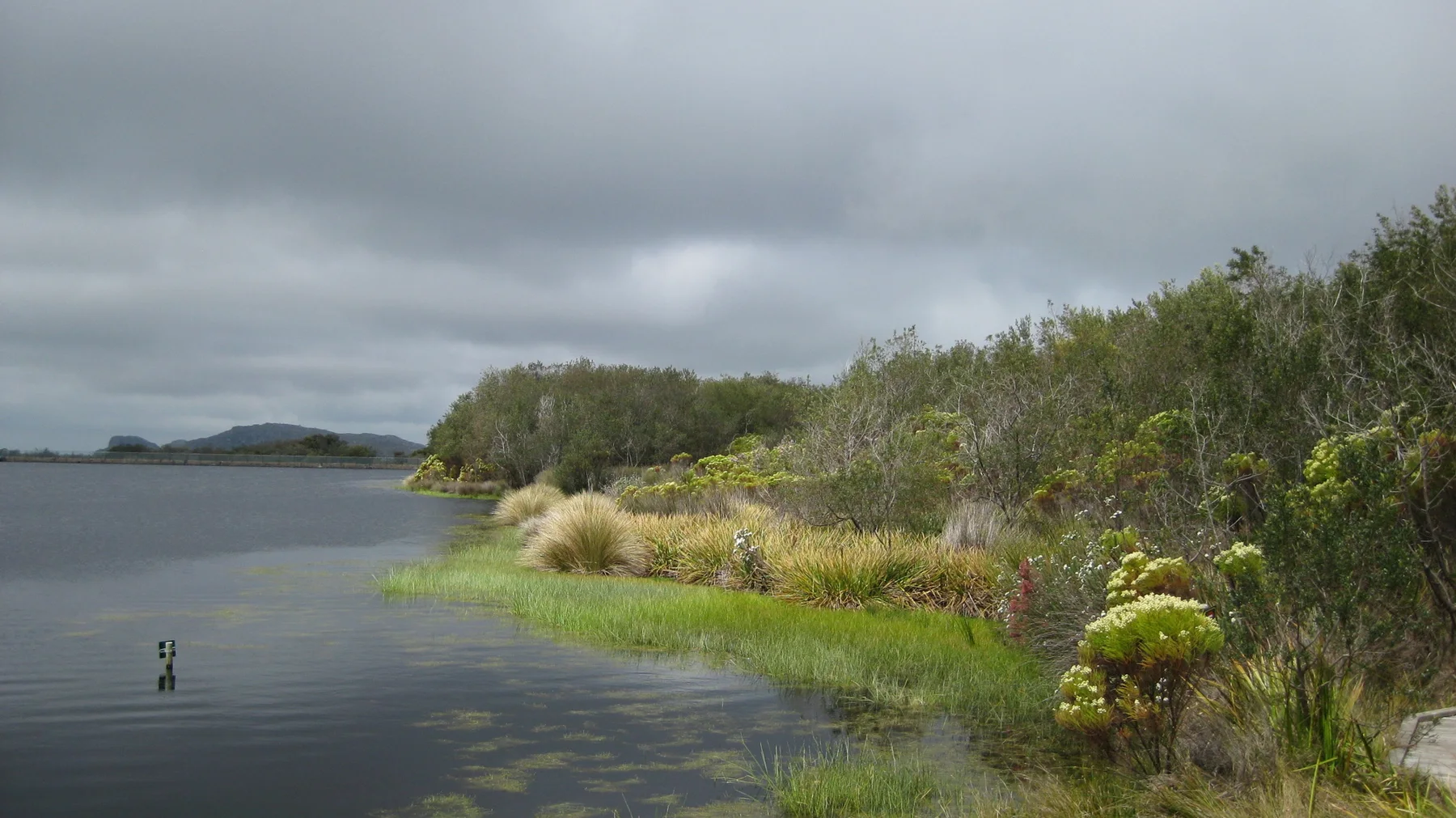 Gray water meets a green vegetated bank beneath heavy clouds.