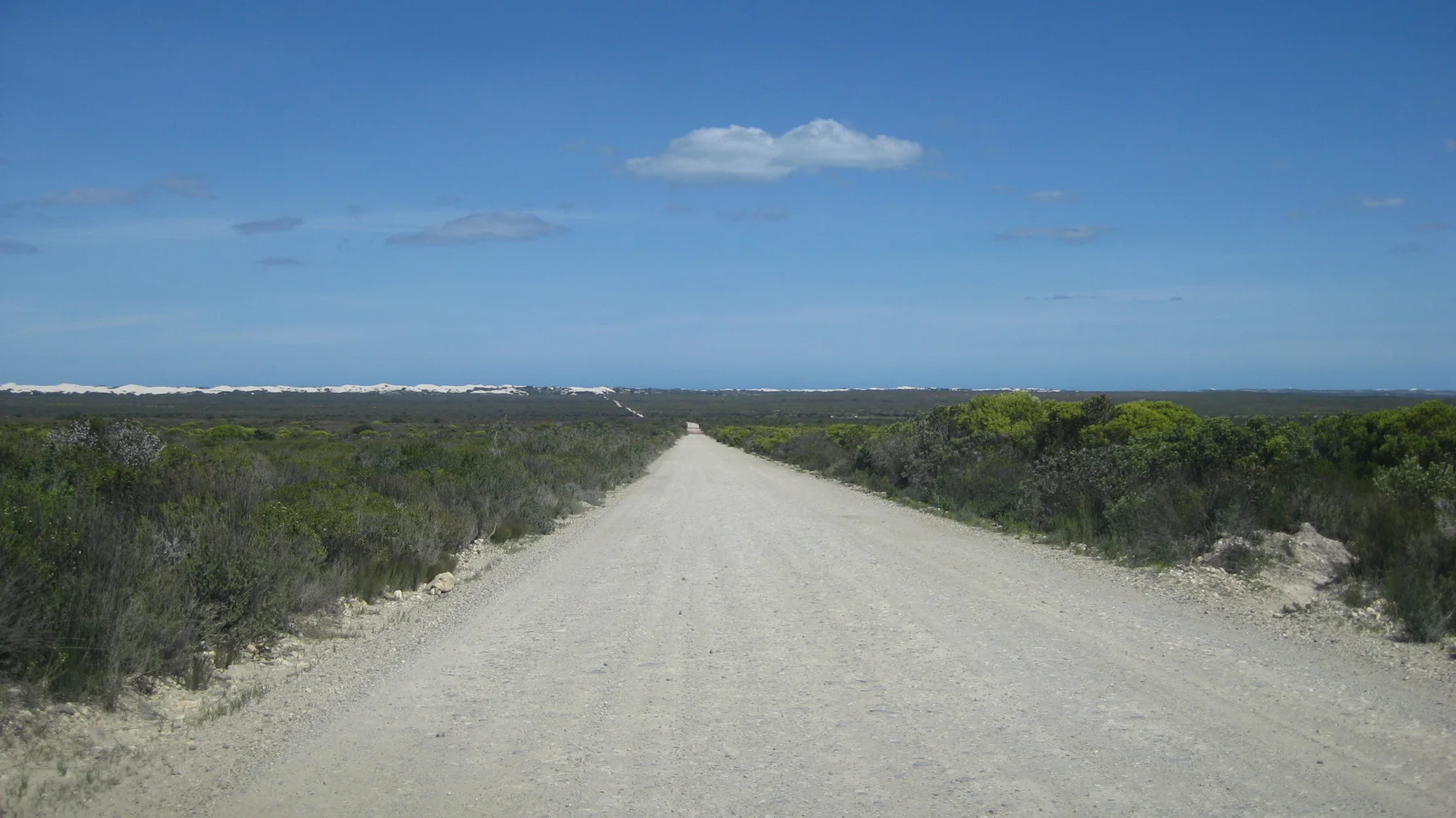 A pale gravel road runs straight through coastal scrub.