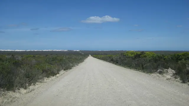 A pale gravel road runs straight through coastal scrub.