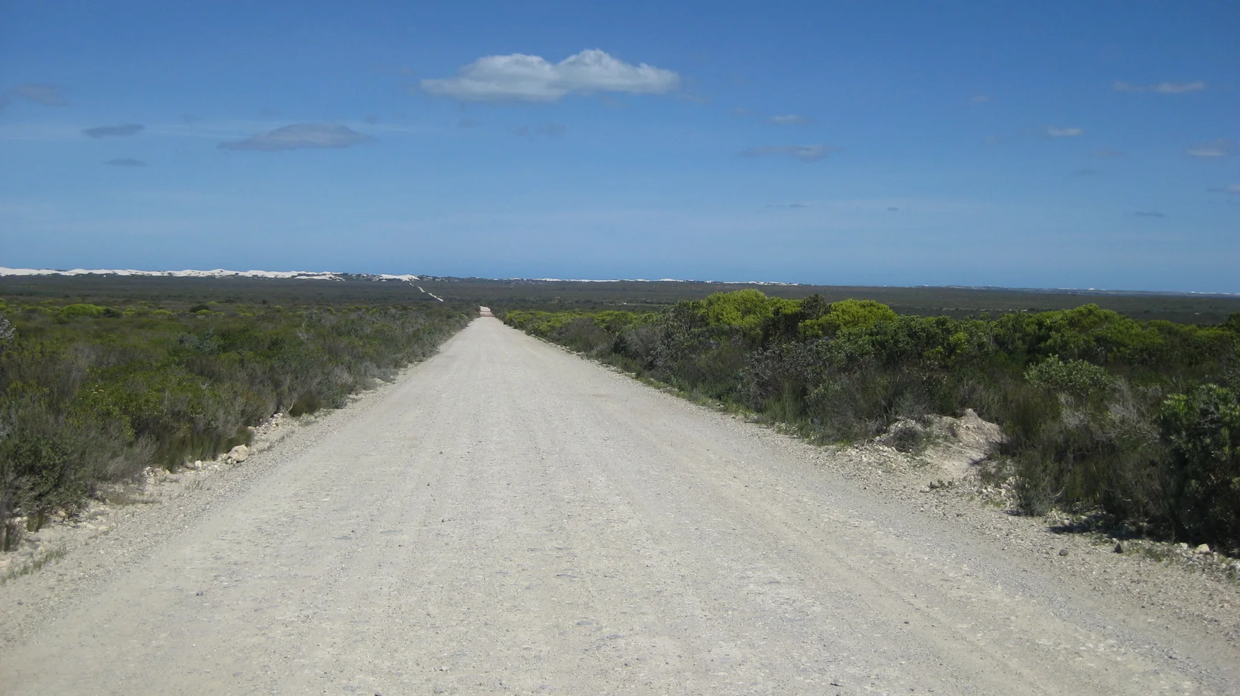 A white gravel road divides low coastal vegetation beneath blue sky.