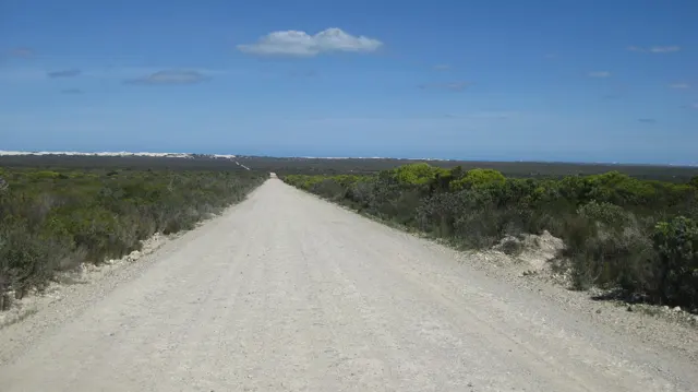 A white gravel road divides low coastal vegetation beneath blue sky.