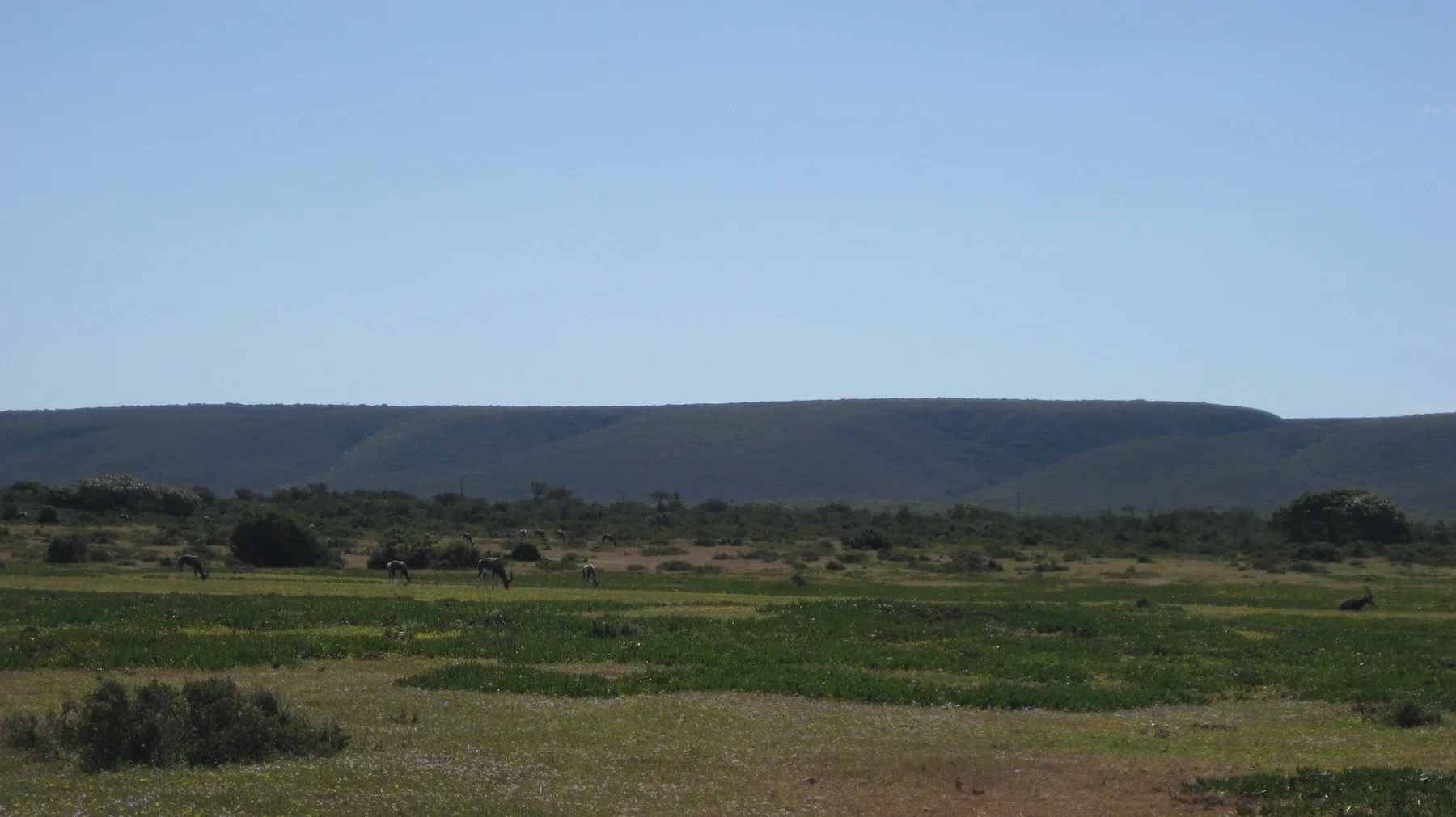 Open fields stretch below a long flat ridge.