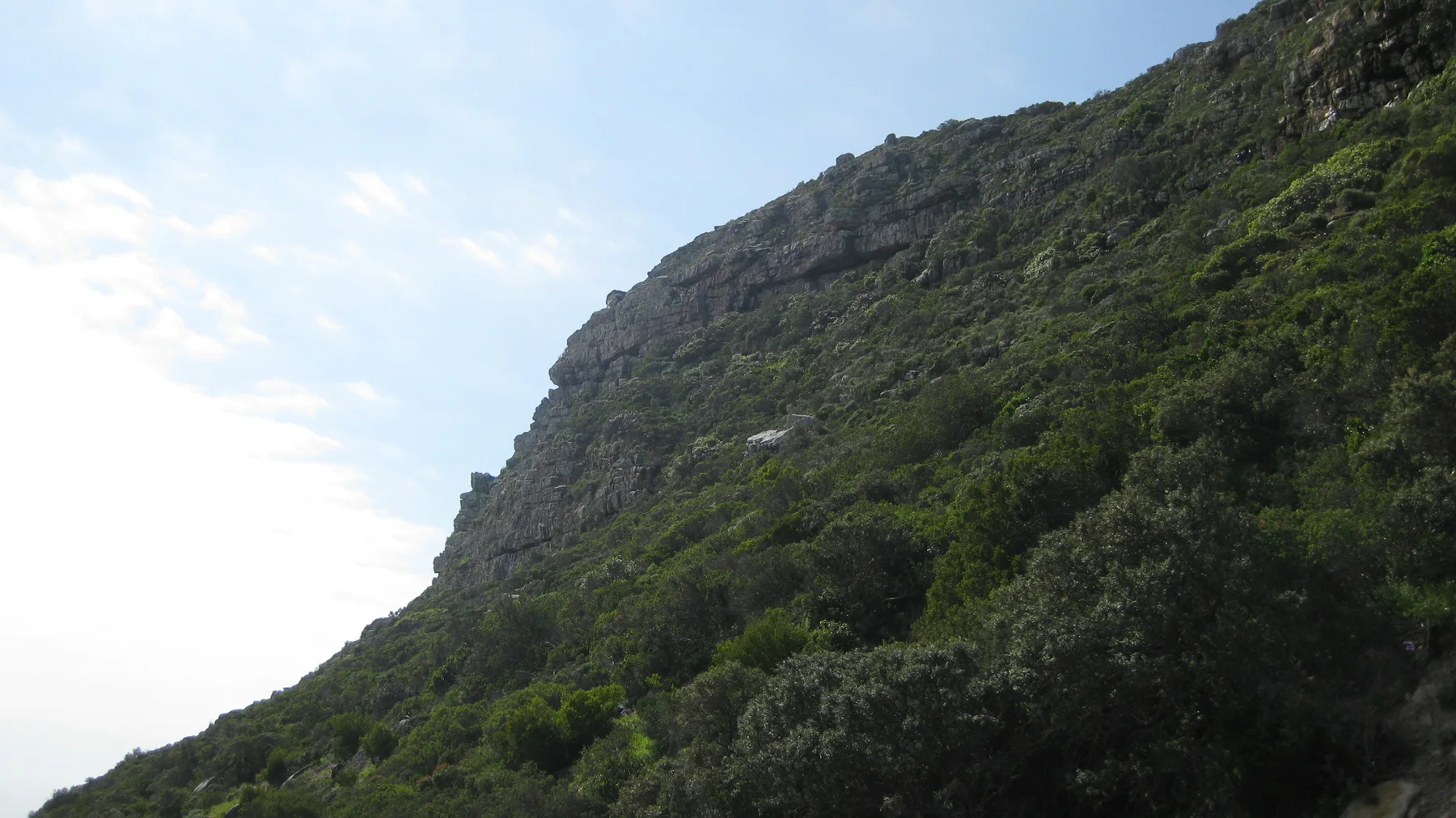 Dense vegetation clings to a steep rocky mountain wall.