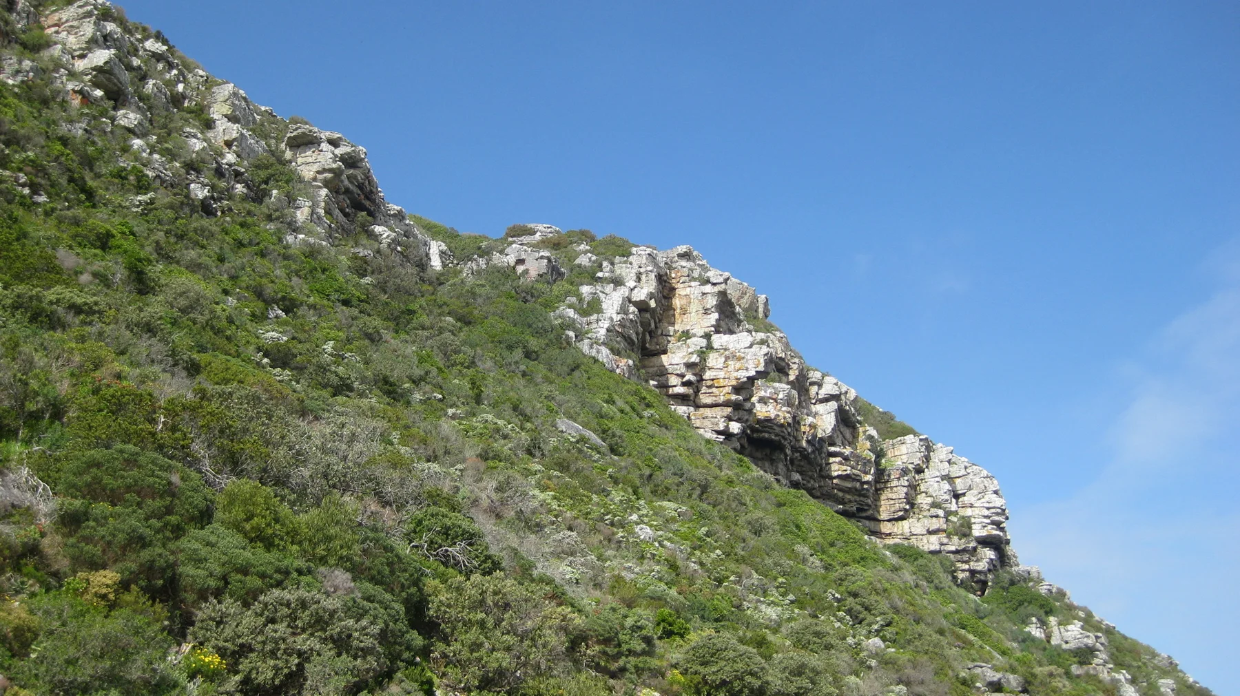 Pale rock crags rise above a densely vegetated slope.
