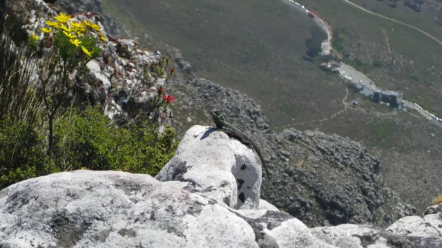 Pale foreground rocks overlook a steep slope and winding road.