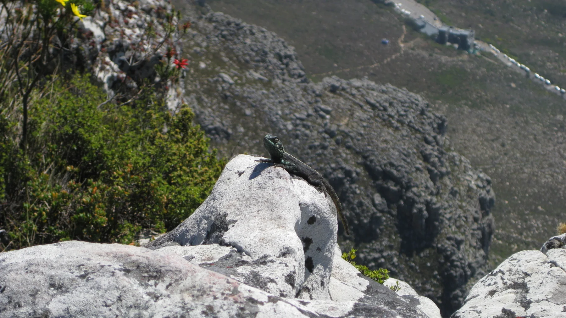 A pale rock ledge overlooks a dark steep slope far below.