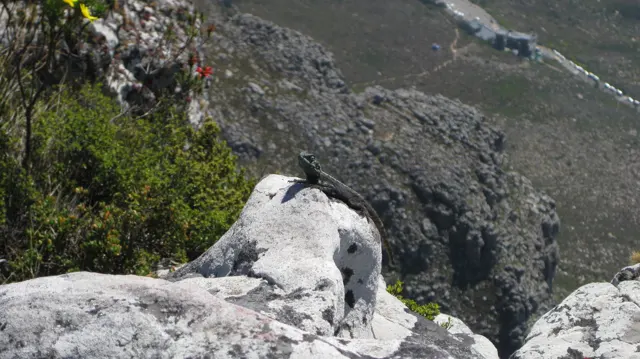 A pale rock ledge overlooks a dark steep slope far below.
