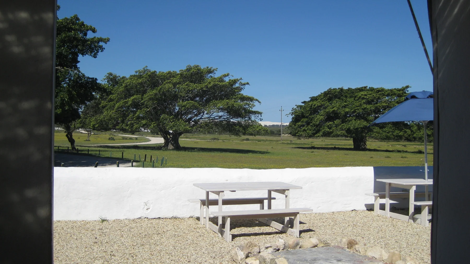 White picnic tables face a sunny lawn and broad trees.