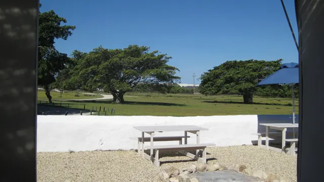 White picnic tables face a sunny lawn and broad trees.
