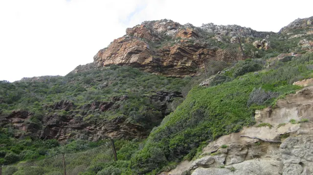 Green shrubs cover ledges below an exposed coastal rock face.