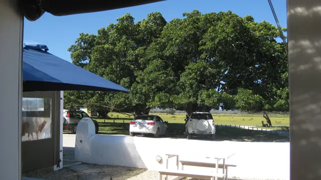 A blue umbrella and white wall frame parked cars and green trees.
